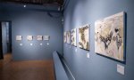 Verbania
Visita guidata alla mostra di Pericoli
