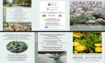 Verbania
“Cactus Folies”