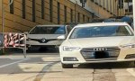 Verbania
Forza Italia su eventi e viabilità a Pallanza
