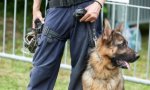 Fuori Provincia
Polizia locale, nasce il primo gruppo cinofilo regionale