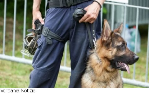 Fuori Provincia
Polizia locale, nasce il primo gruppo cinofilo regionale
