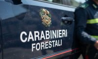 Fuori Provincia
Regione Piemonte rinnova convenzione con Carabinieri Forestali