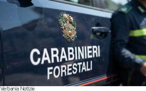 Fuori Provincia
Regione Piemonte rinnova convenzione con Carabinieri Forestali