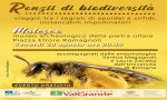 Malesco
“Ronzii di biodiversità”