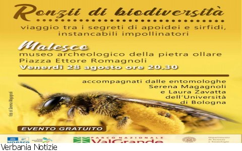 Malesco
“Ronzii di biodiversità”
