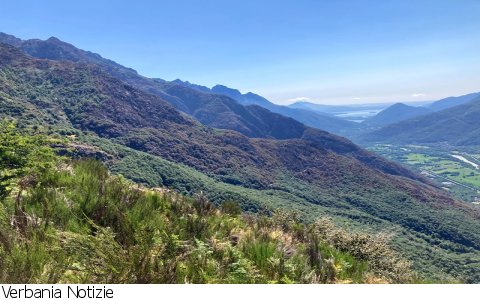 Vogogna
Parco Nazionale Val Grande su incendi