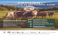 Fuori Provincia
Fiera regionale dei bovini