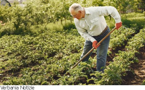 Verbania
"Vitamina G: il giardinaggio per coinvolgere gli anziani"