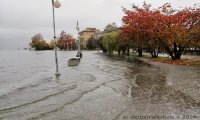 Verbania
Lago Maggiore nuovamente esondato - FOTO