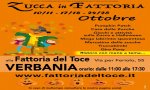 Verbania
"Zucca in Fattoria" alla Fattoria del Toce
