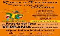 Verbania
"Zucca in Fattoria" alla Fattoria del Toce