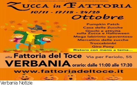 Verbania
"Zucca in Fattoria" alla Fattoria del Toce