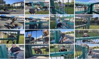 Verbania
Parco Cordero (ex Alpi Giulie), volontari al lavoro