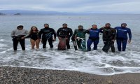 Fuori Provincia
Apnea Clan di Verbania a Noli