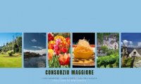 Verbania
Consorzio Maggiore