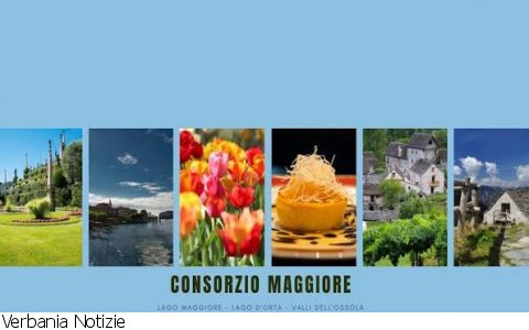Verbania
Consorzio Maggiore