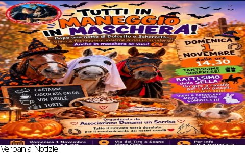Verbania
"Tutti in maneggio in maschera!"