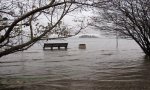 Verbania
Lago Maggiore oltre la soglia di "pericolo"