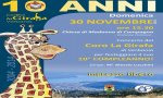 Verbania
10 anni di Coro la Girafa