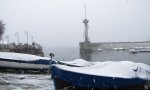 Verbania
Verbania sotto la neve FOTOGALLERY