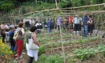 Oggebbio
Festa degli orti "Chi semina raccoglie"