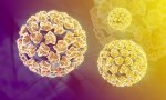 Verbania
Nuovo test HPV nel VCO