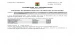 Verbania
La delibera del vicecomandante