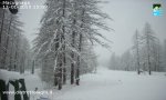 Verbania
Le nevicate sulle Alpi piemontesi 