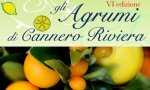 Cannero Riviera
Gli Agrumi di Cannero Riviera 