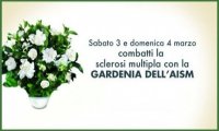 Verbania
Nel week end torna la Gardenia del AISM