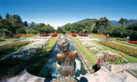 Verbania
Oggi riapre Villa Taranto