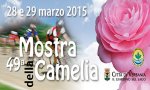 Verbania
49ª Mostra della Camelia di Verbania
