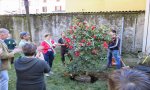 Verbania
Inaugurato Parco Besozzi Benioli - Fotogallery