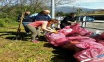 Verbania
Volontari rimuovono rifiuti in zona Plush