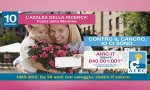 Verbania
Torna l'Azalea della Ricerca