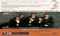 Verbania
Concerto pro Madonna di Campagna