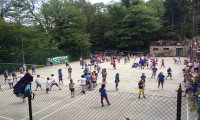 Verbania
Scuola Pallavolo Città di Verbania il bilancio