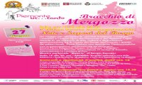 Mergozzo
"Note e Sapori del Borgo"
