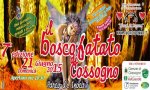 Cossogno
Arriva il Bosco Fatato 2015