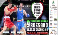 Fuori Provincia
Boxe Verbania al Guanto d'Oro 