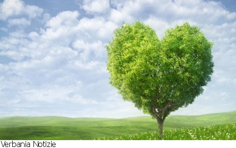 Verbania
Turismo&SocialNews: Valori green per promuovere il territorio