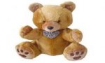 Omegna
TEDDY BEARS` PIC NIC