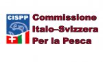 Verbania
Bonifica Enichem: preoccupazione Italo/Svizzera per DDT nel lago