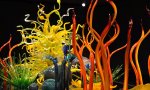 Fuori Provincia
MilanoInside: Art Aquarium, acquari d’arte in mostra