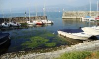 Verbania
Livello del lago basso primi disagi alla navigazione