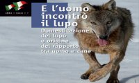Ossola
Parco Val Grande: "E l'uomo incontrò il lupo"