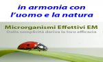 Verbania
Incontri ECO-LOGICI - Microrganismi