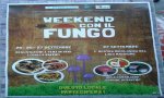 Baveno
Week End con il Fungo