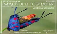 Verbania
Foto Club Verbania "Macrofotografia"