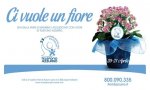 Verbania
Telefono Azzurro: ‘Ci vuole un fiore’